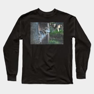 Mexican Grey Wolf Long Sleeve T-Shirt